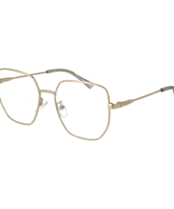 Polaroid Optični okvirji PLD D508/G J5G 55