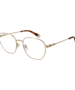 Polaroid Optični okvirji PLD D509/G J5G 53