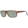 Serengeti Sončna očala 9053 61