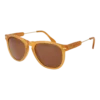 Serengeti Sončna očala SS530002 Amboy