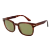 Serengeti Sončna očala SS575006 Ethan