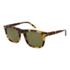 Serengeti Sončna očala SS576005 Charlton