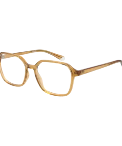 Polaroid Optični okvirji PLD D469 10A 53