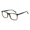 Pepe Jeans Optični okvirji PJ3441 c5 53