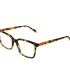Benetton Optični okvirji BEO109 103 55