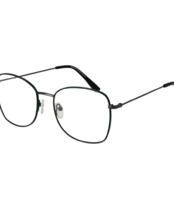 Funky Buddha Optični okvirji FBD1015 004 54